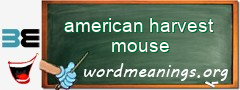 WordMeaning blackboard for american harvest mouse